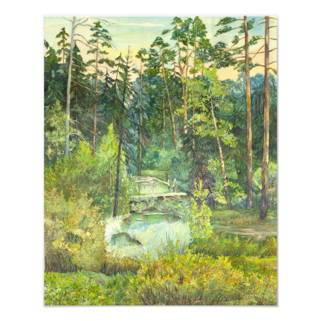 Wald Fotodruck (Vorne)