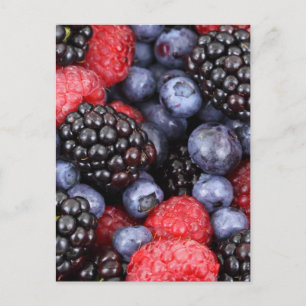 Wald-Frucht Hintergrund Postkarte