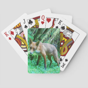 Wald Fuchswelpe Forst Moos Grün Natur Wildtiere Spielkarten