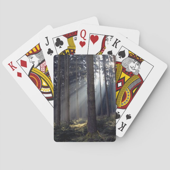 Wald im Bayern Spielkarten (Rückseite)