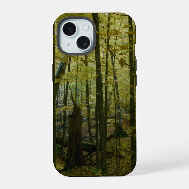 Wald im Herbstwandel iPhone 15 Hülle (Rückseite)