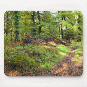 Wald im Oktober Mousepad