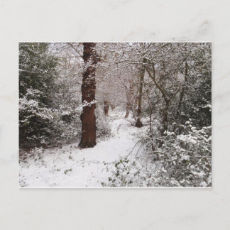 Wald im Schnee aussteigen. Postkarte