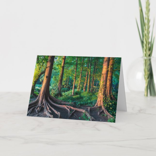 Wald im Sommer Karte (Vorderseite)