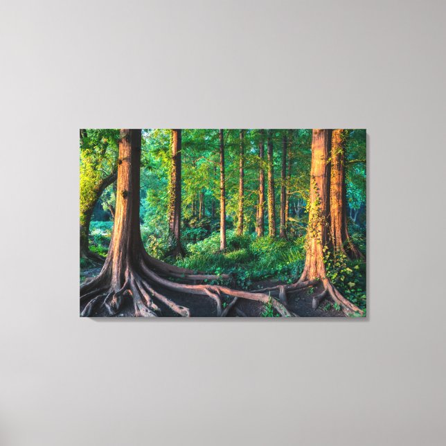 Wald im Sommer Leinwanddruck (Vorderseite)