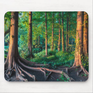 Wald im Sommer Mousepad