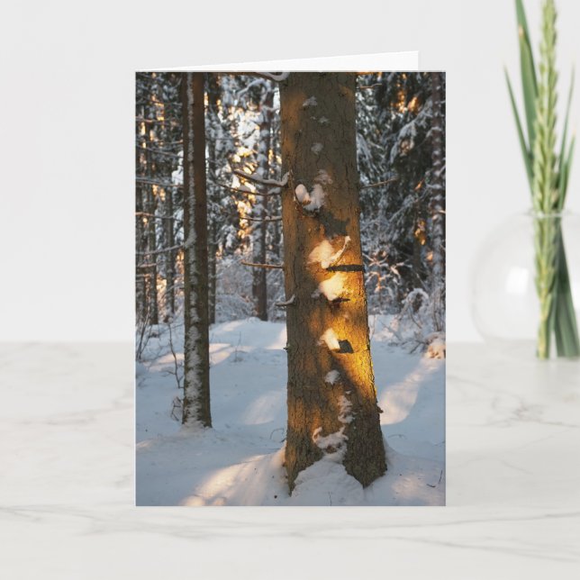 Wald im Winter Feiertagskarte (Vorderseite)