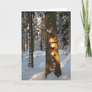 Wald im Winter Feiertagskarte