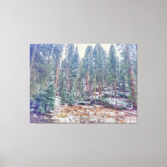 Wald im Winter Leinwanddruck (Vorderseite)