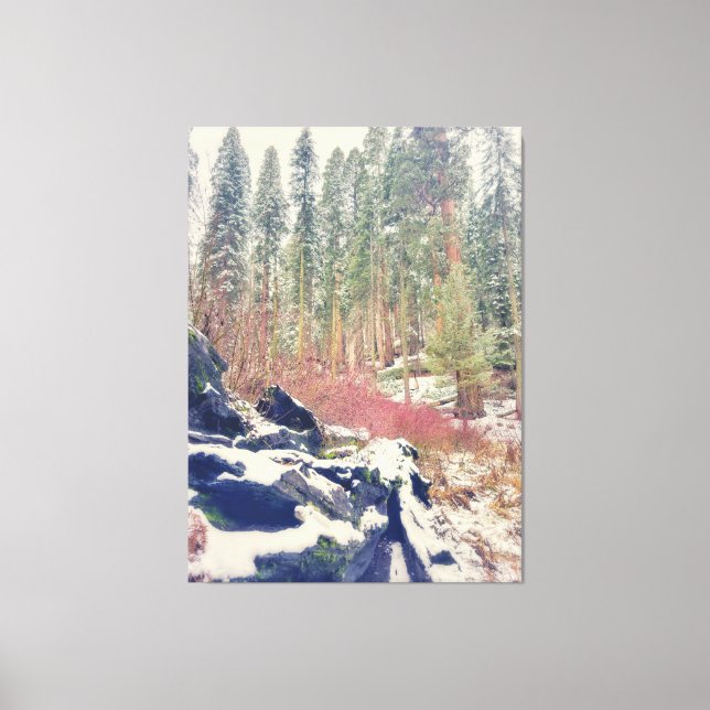 Wald im Winter Leinwanddruck (Vorderseite)