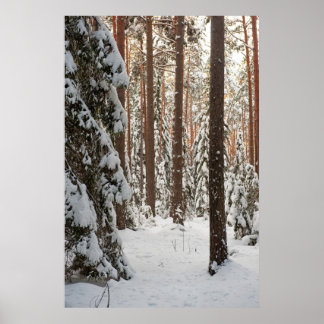 Wald im Winter Poster