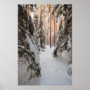 Wald im Winter Poster
