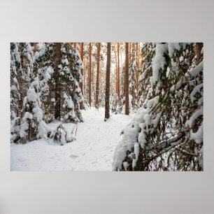 Wald im Winter Poster