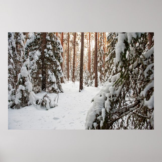 Wald im Winter Poster (Vorne)