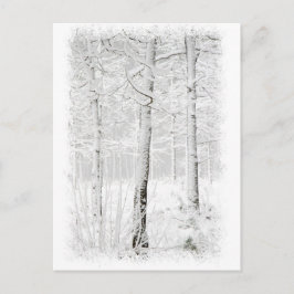 Wald im Winter Postkarte