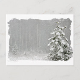 Wald im Winter Postkarte