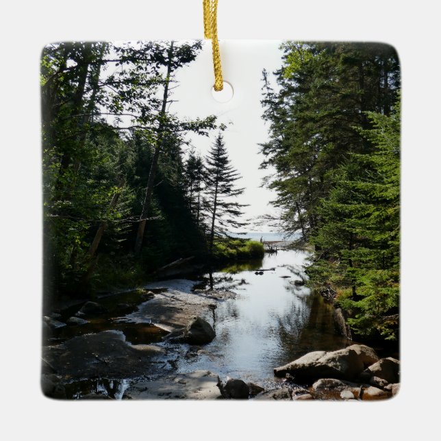 Wald in der Nähe von Hunters Beach Keramikornament (Vorderseite)