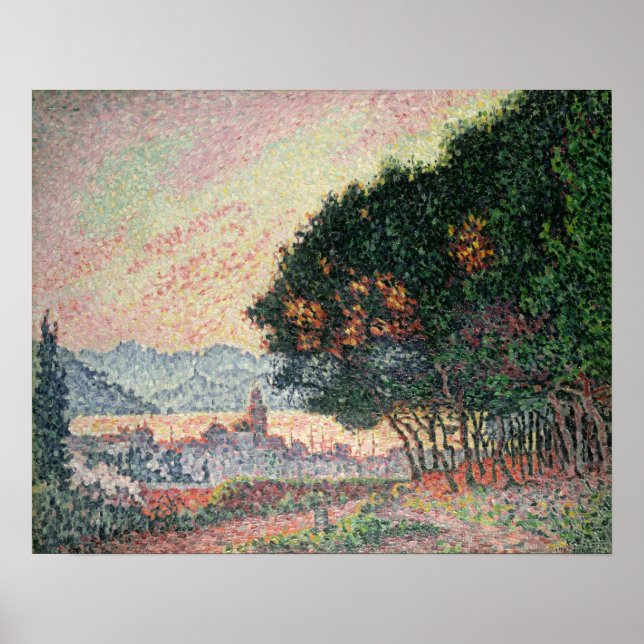 Wald in der Nähe von St. Tropez, 1902 Poster (Vorne)