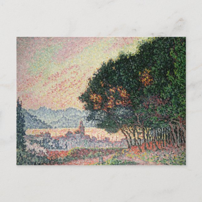 Wald in der Nähe von St. Tropez, 1902 Postkarte (Vorderseite)