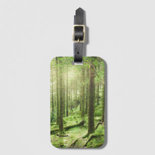 Wald in Nationalpark Kerry, Irland Killarneys Gepäckanhänger