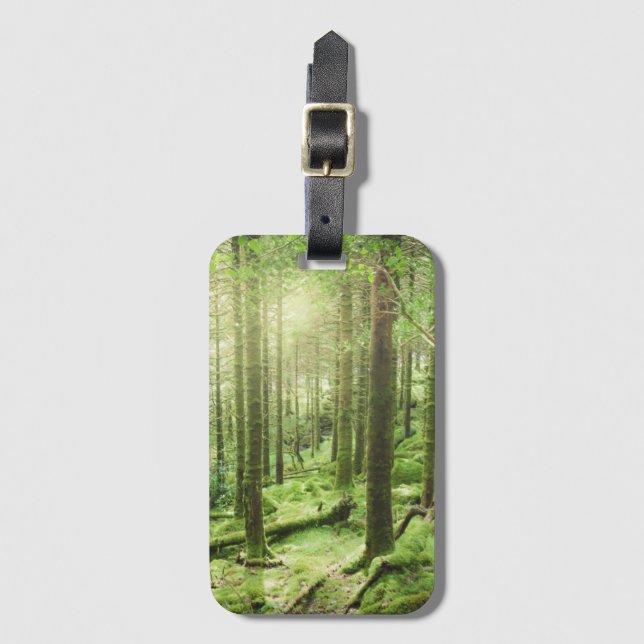 Wald in Nationalpark | Kerry, Irland Killarneys Gepäckanhänger (Vorderseite Vertikal)