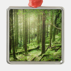 Wald in Nationalpark   Kerry, Irland Killarneys Ornament Aus Metall