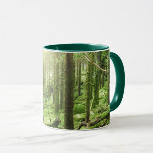 Wald in Nationalpark Kerry, Irland Killarneys Tasse