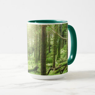 Wald in Nationalpark   Kerry, Irland Killarneys Tasse