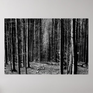 Wald in Schwarzweiss Poster