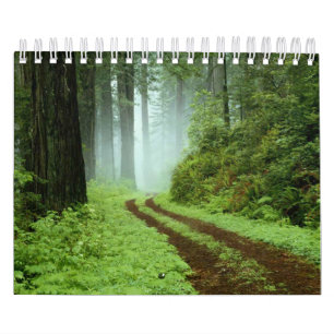 Wald Kalender