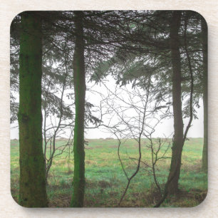 Wald mit Blick auf eine Lichtung im Nebel Untersetzer