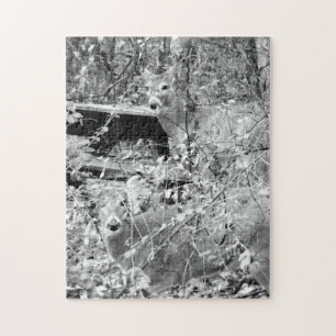 Wald mit Whitetail Deer Puzzle