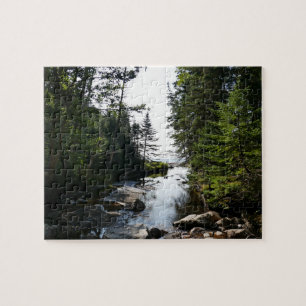 Wald nahe Hunters Beach im Acadia National Park Puzzle