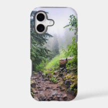 Wald Natur