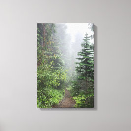 Wald Natur Leinwanddruck