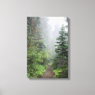 Wald Natur Leinwanddruck