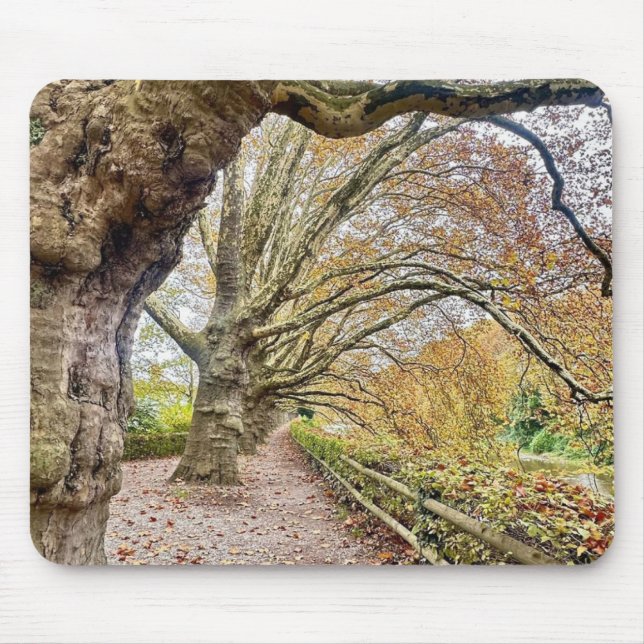 Wald Pathway Mouse Mat Mousepad (Vorne)
