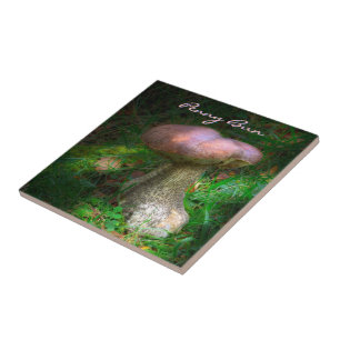 Wald-Pilz - Penny Bun, Porcino Fliese