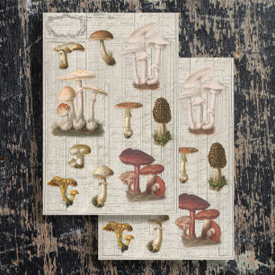 Wald Pilze Cotattecore Ephemere Decoupage Seidenpapier