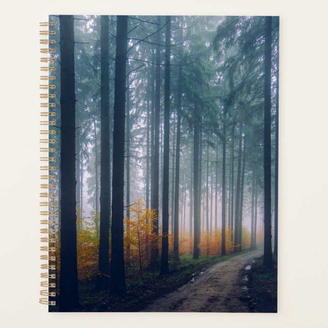 Wald Planer (Vorderseite)