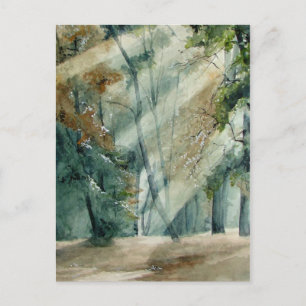 wald postkarte