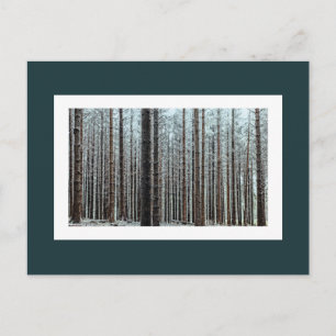 Wald Postkarte