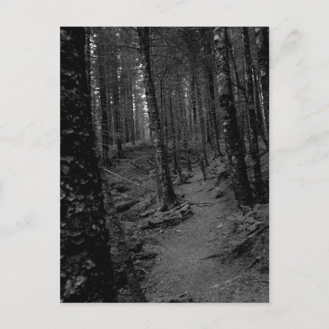 Wald Postkarte (Vorderseite)