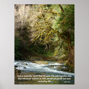 Wald & Rushing River John 3:16 Print Poster