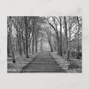 Wald, schwarz/weiß postkarte