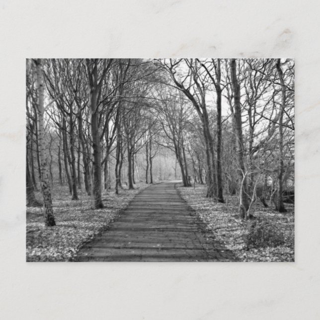 Wald, schwarz/weiß postkarte (Vorderseite)