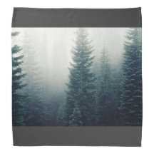 Wald themenorientiert, einige große Bäume eines