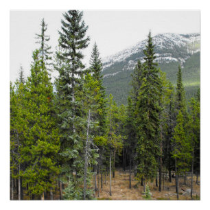 Wald-und Gebirgsszene Poster