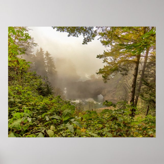 Wald- und Ozeanlandschaft Poster (Vorne)