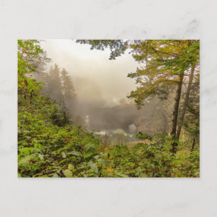 Wald- und Ozeanlandschaft Postkarte